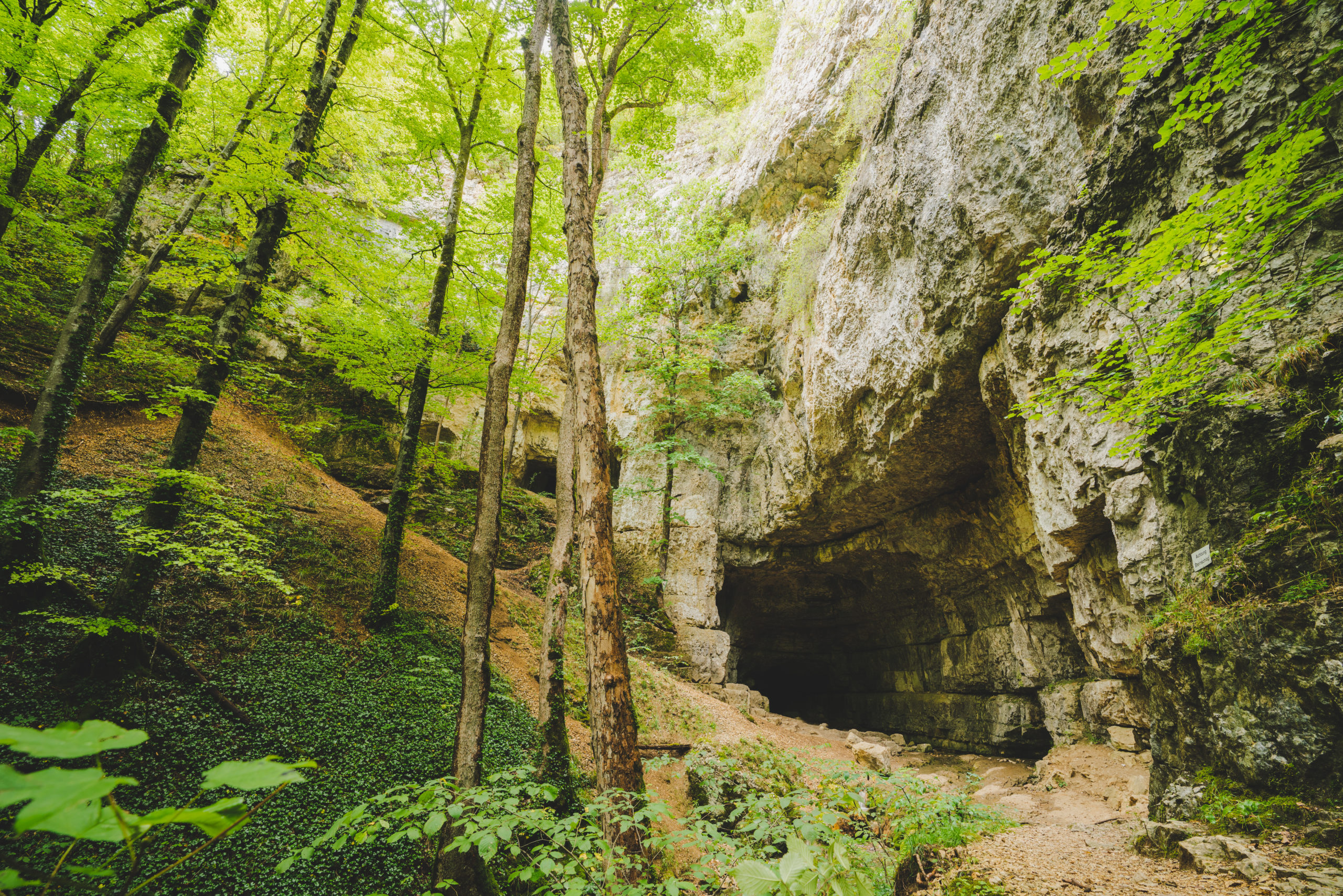 Höhlen auf der Schwäbischen Alb